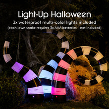 FUNBOY - Black and White Halloween Lawn Snakes