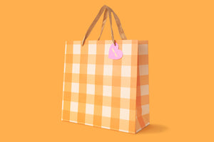Gift Bags - Orange Gingham - Large