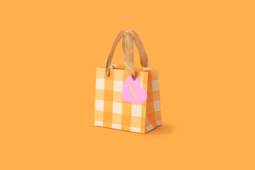 Taylor Elliott Designs - *ON SALE* Gift Bags - Orange Gingham - Assorted Sizes: Small