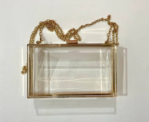 Clear Rectangular Purse