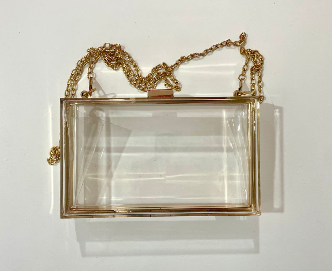 Clear Rectangular Purse