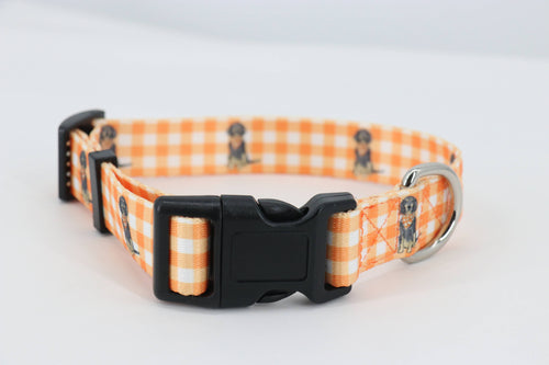 Barrel Down South - Bluetick Coonhound Gingham Dog Collar- Small