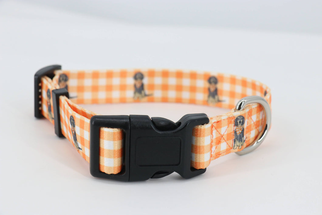 Barrel Down South - Bluetick Coonhound Gingham Dog Collar- Small