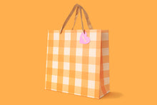 Taylor Elliott Designs - Gift Bags - Orange Gingham - Assorted Sizes: Small