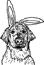 Bunny Bruce on Light Blue