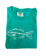 Island Reef Fish on Island Green