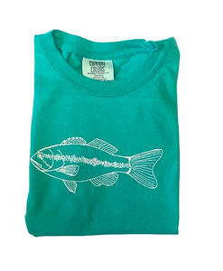 Island Reef Fish on Island Green